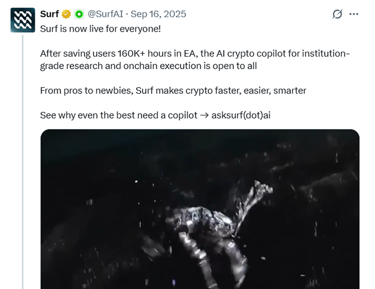 Surf AI creative — Surf AI Creative 9