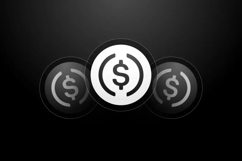 Stablecoins & Payments