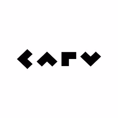 Carv logo